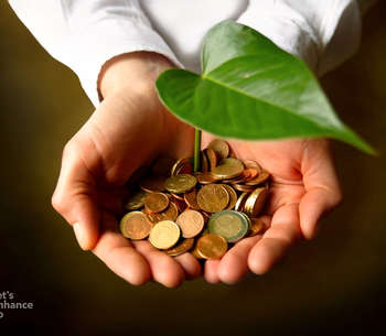 Tax and Net Zero: How do Green Tax policies in individual countries compare?