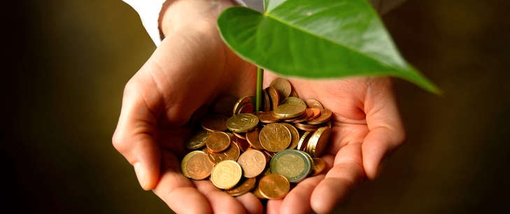 Tax and Net Zero: How do Green Tax policies in individual countries compare?