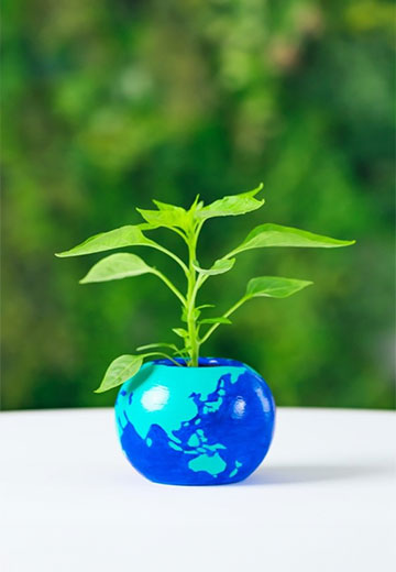 The path to Net Zero and carbon monetisation