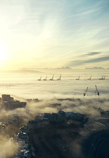 A focus on processes and policies to manage climate-related risks